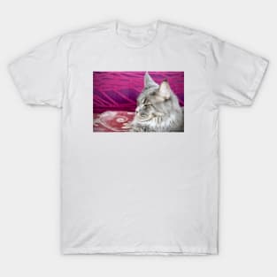 Maine Coon T-Shirt